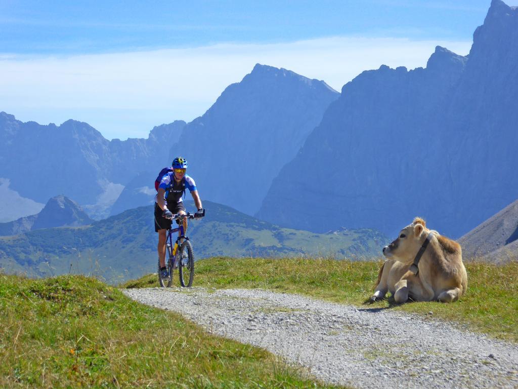 فندق Alpenhof Kruen المظهر الخارجي الصورة